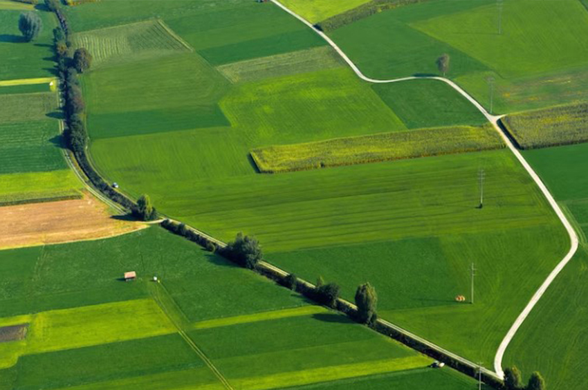 irrigation